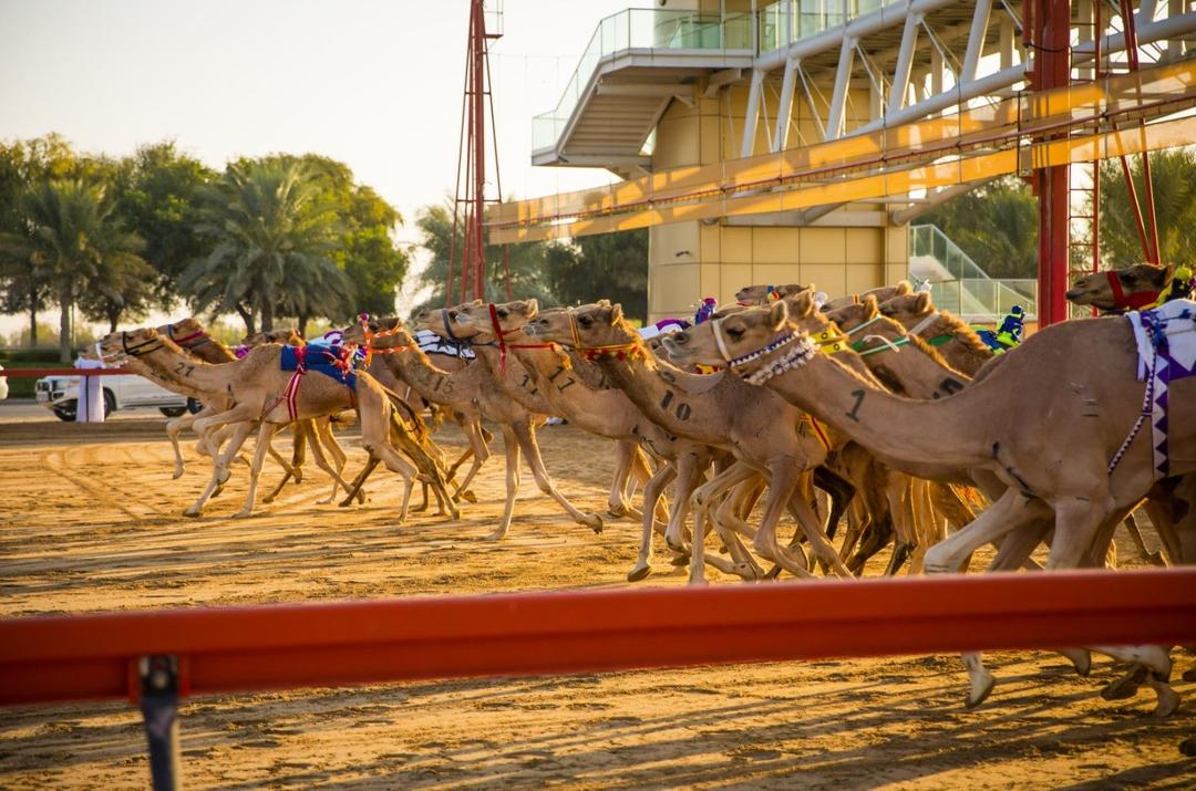 Al Marmoom Heritage Village