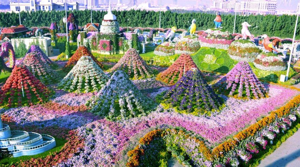 Miracle Garden